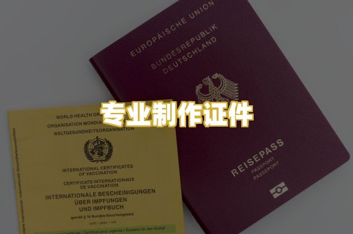 专业制作证件